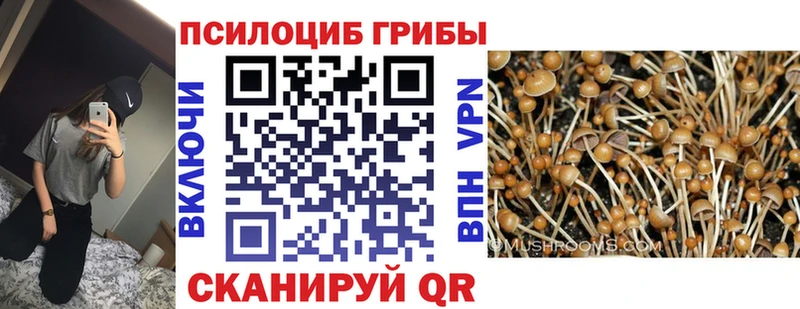 Галлюциногенные грибы MAGIC MUSHROOMS  где найти наркотики  Калач 